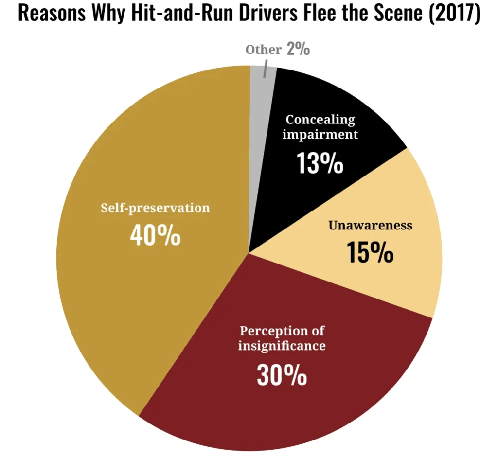 Reasons Why Hit-and-Run Drivers Flee the Scene (2017)