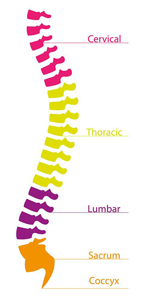 spinal cord injury