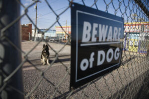 Beware of dog sign: Lorenzo & Lorenzo Premises Liability Blog