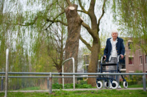 Elderly woman walking in park: Lorenzo Premises Liability Blog